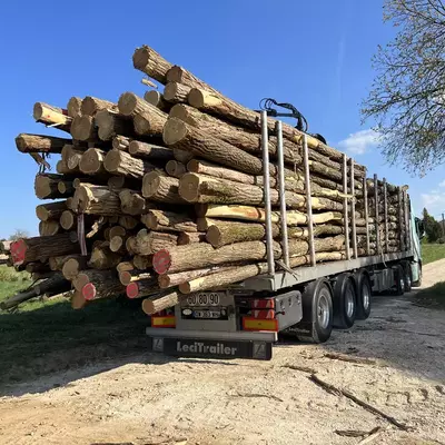 Photos d'un chargement de bois sur semi-remorque