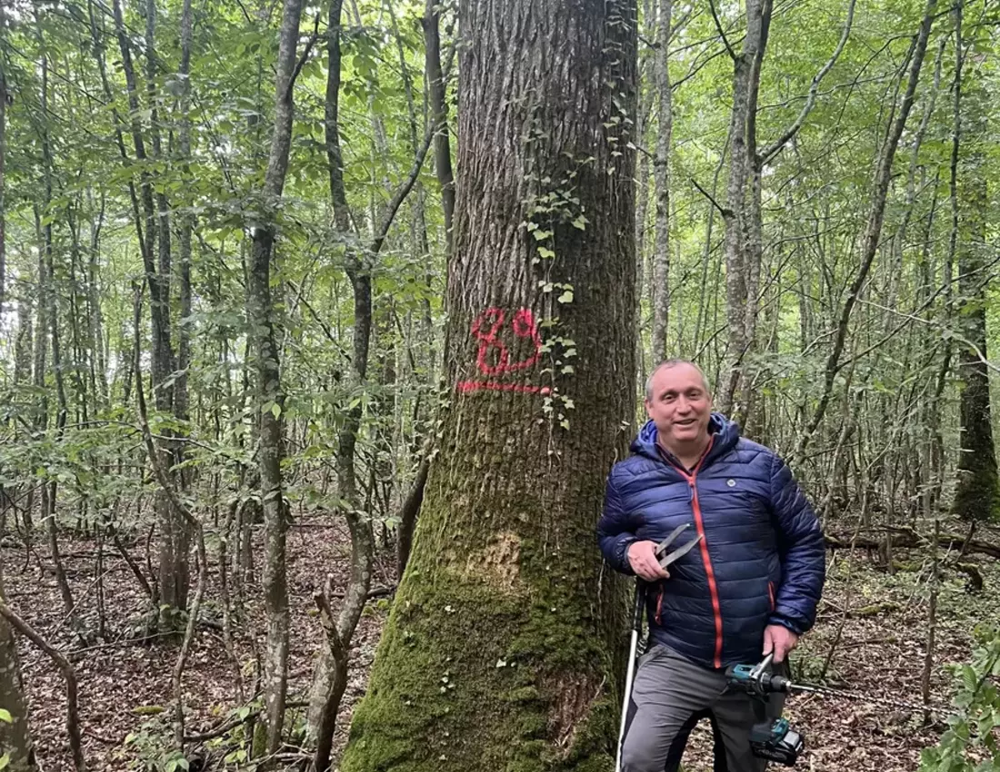 Estimation de bois sur pieds en forêt négoce de bois