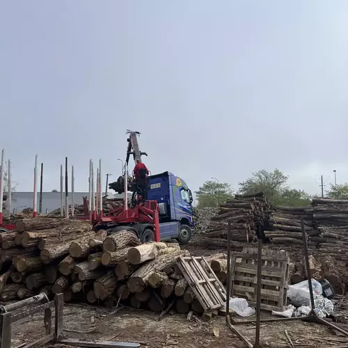 Chargement de bois