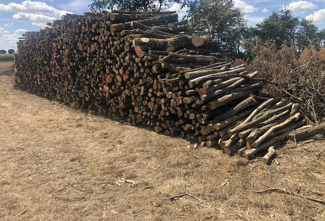 Pile acacias 2 metres