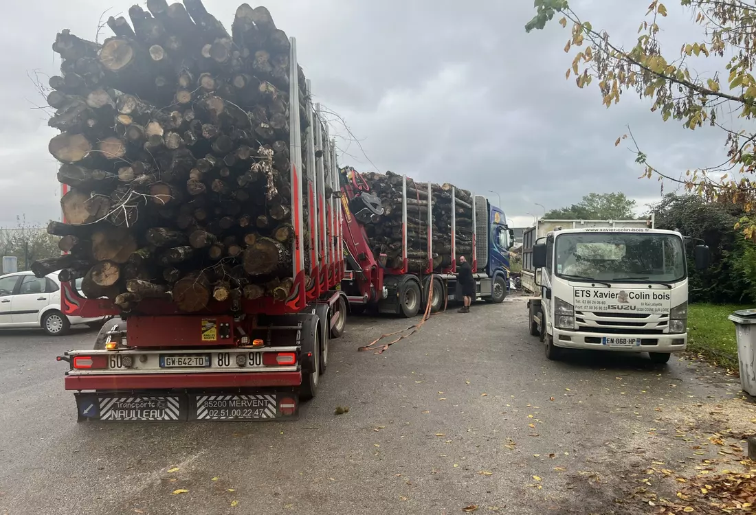 Chargement de bois pour l