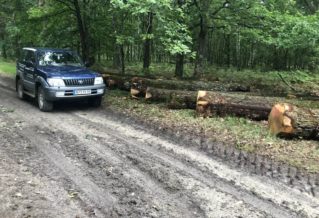 4x4 avec grume de bois