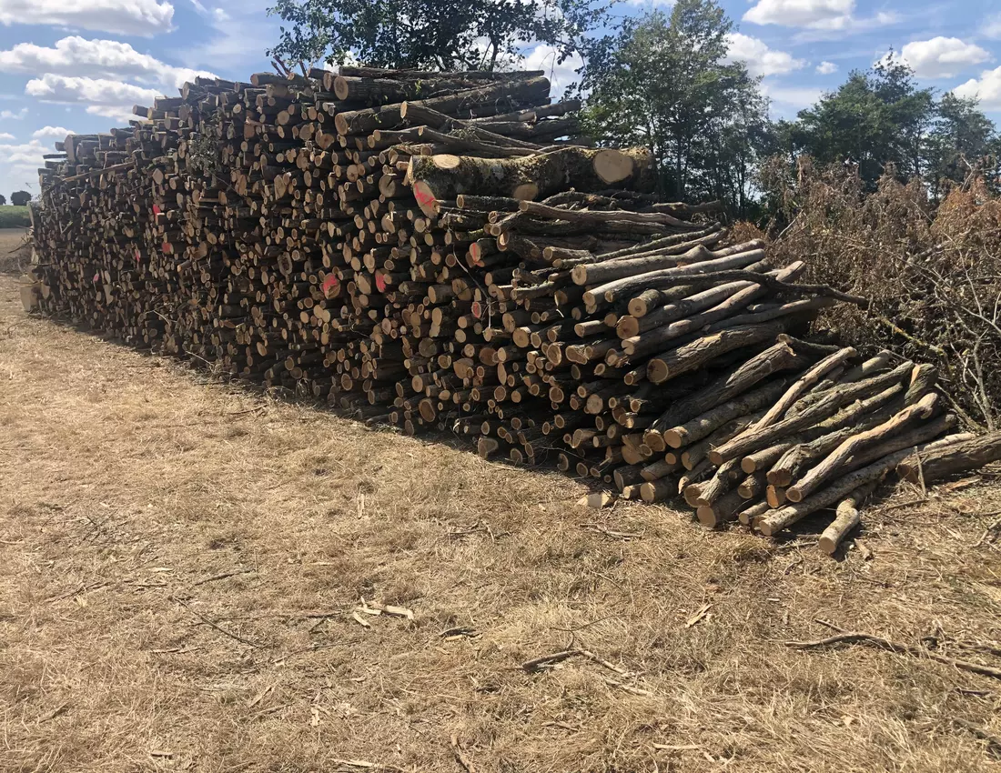 Pile acacias 2 metres